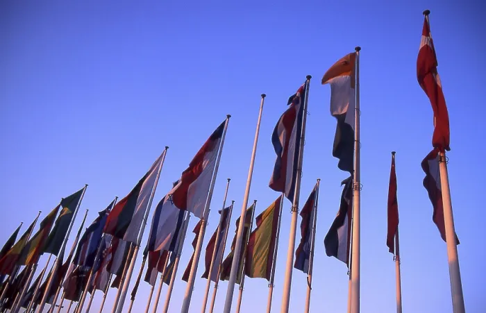 Gerahmter Druck : Flags Gerahmter Druck : Flags