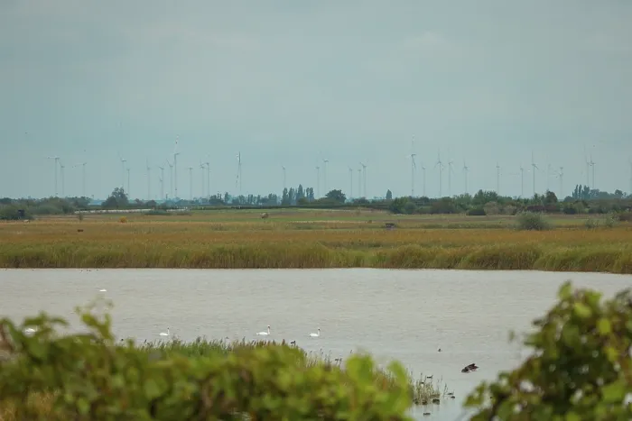 Gerahmter Druck : Ein flaches Landschaft mit Windrädern. Gerahmter Druck : Ein flaches Landschaft mit Windrädern.