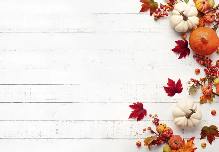 Gerahmter Druck : Flachaufbau Herbstkomposition mit Leerfläche. Gerahmter Druck : Flachaufbau Herbstkomposition mit Leerfläche.