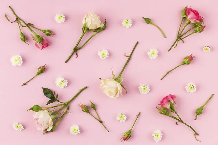 Gerahmter Druck : Blumen-Sammlung auf einem Tisch 2. Gerahmter Druck : Blumen-Sammlung auf einem Tisch 2.