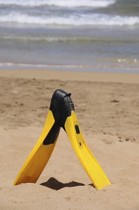 Gerahmter Druck : Flossen am Strand Gerahmter Druck : Flossen am Strand