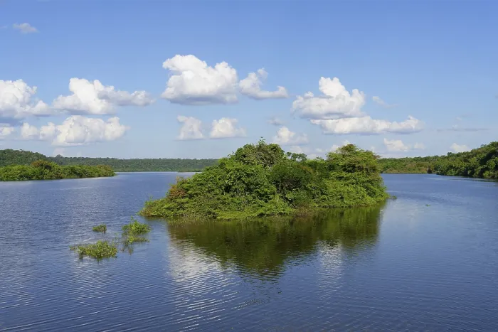 Gerahmter Druck : Überschwemmtes Waldgebiet am Abacaxis-Fluss. Gerahmter Druck : Überschwemmtes Waldgebiet am Abacaxis-Fluss.