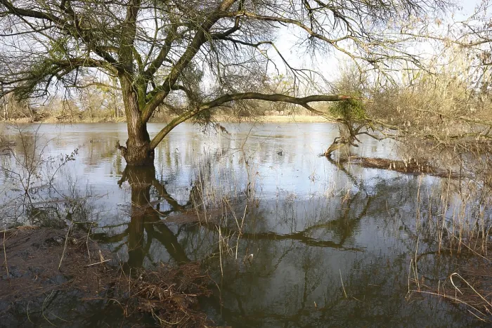 Gerahmter Druck : Überschwemmung der Mulde im Winter. Gerahmter Druck : Überschwemmung der Mulde im Winter.