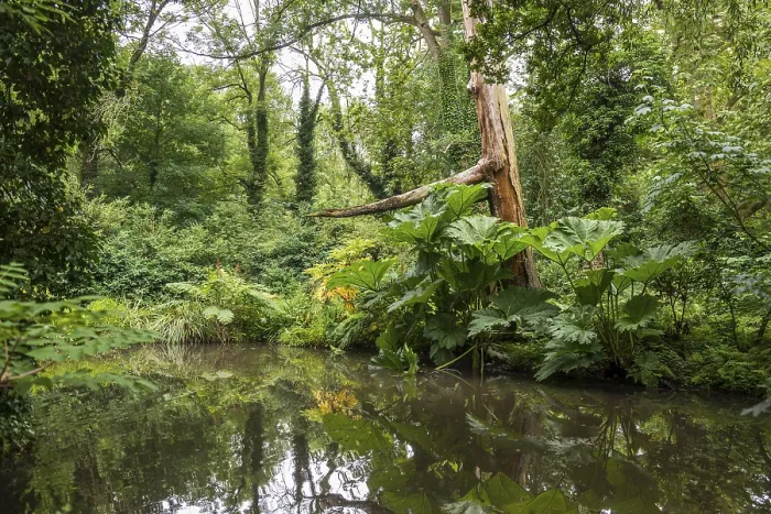 Gerahmter Druck : Auenlandschaft der Erft Gerahmter Druck : Auenlandschaft der Erft