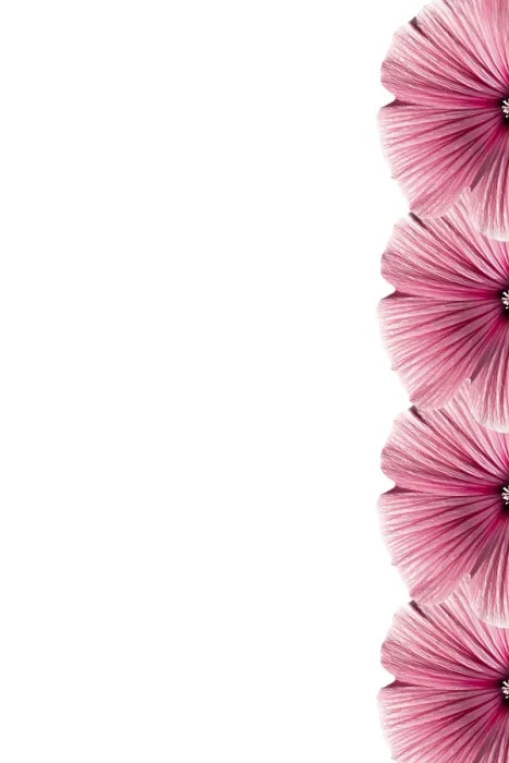 Gerahmter Druck : Blumengestell Gerahmter Druck : Blumengestell
