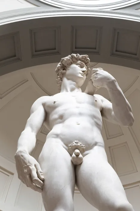Gerahmter Druck : Florenz, Italien - Circa August 2021: David-Skulptur von Michelangelo Buonarroti Gerahmter Druck : Florenz, Italien - Circa August 2021: David-Skulptur von Michelangelo Buonarroti