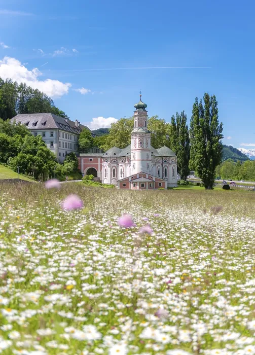 Gerahmter Druck : Blumenwiese vor dem Kloster St. Gerahmter Druck : Blumenwiese vor dem Kloster St.