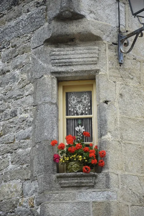 Gerahmter Druck : Blumenfenster in Bretagne Gerahmter Druck : Blumenfenster in Bretagne