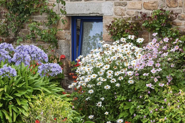 Gerahmter Druck : Blumenbeet vor einem rustikalen Haus mit blauem Fenster. Gerahmter Druck : Blumenbeet vor einem rustikalen Haus mit blauem Fenster.