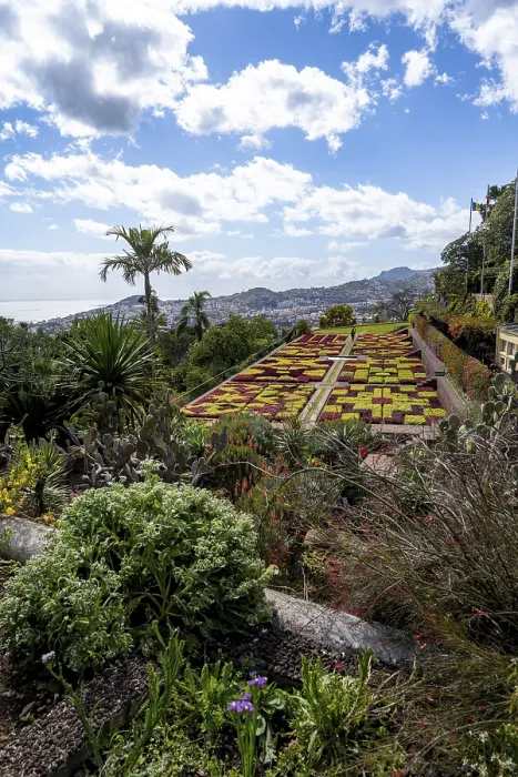 Gerahmter Druck : Blumenbeete mit Muster, Botanischer Garten Gerahmter Druck : Blumenbeete mit Muster, Botanischer Garten