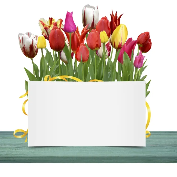 Gerahmter Druck : Blumen 1048 Gerahmter Druck : Blumen 1048