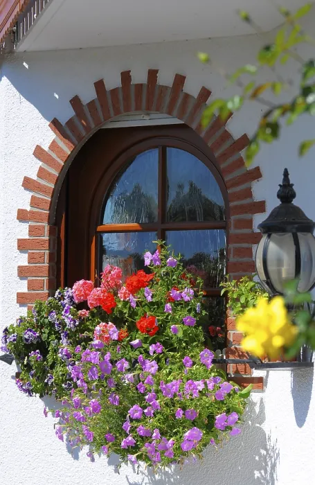 Gerahmter Druck : Blumen am Fenster. Gerahmter Druck : Blumen am Fenster.