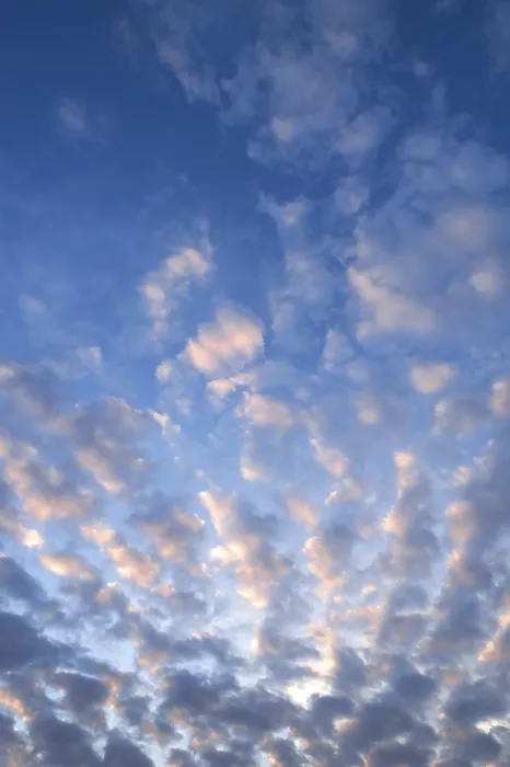 Gerahmter Druck : Weiche Wolken, Altwolken. Gerahmter Druck : Weiche Wolken, Altwolken.
