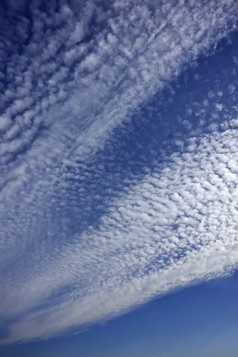 Gerahmter Druck : Weiche Wolken oder Cirrocumuluswolken. Gerahmter Druck : Weiche Wolken oder Cirrocumuluswolken.