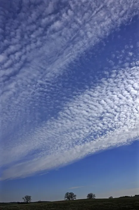 Gerahmter Druck : Wolkenhaufen oder Cirrocumulushöhen Gerahmter Druck : Wolkenhaufen oder Cirrocumulushöhen