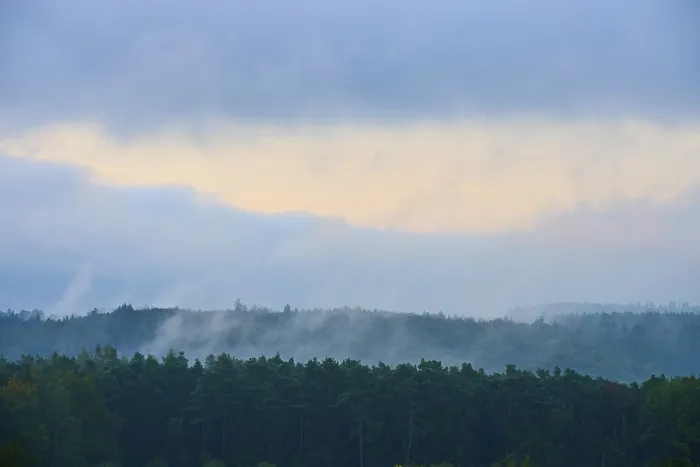 Gerahmter Druck : Durch Nebel über einer dichten Wälder am Morgen. Gerahmter Druck : Durch Nebel über einer dichten Wälder am Morgen.