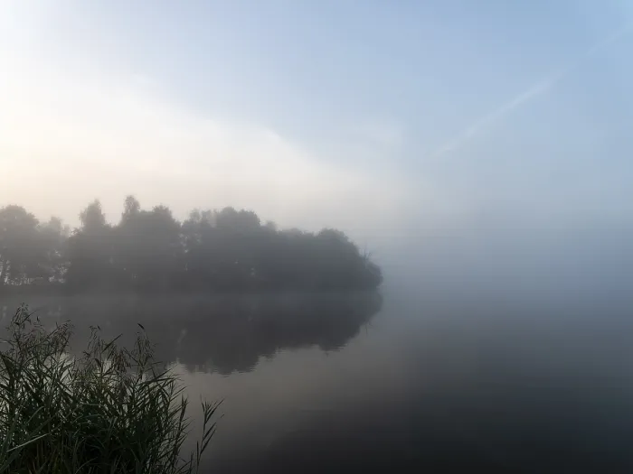 Gerahmter Druck : Morgennebel auf dem Spreewaldsee Gerahmter Druck : Morgennebel auf dem Spreewaldsee