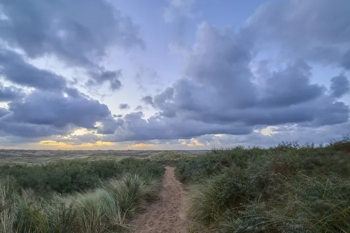Gerahmter Druck : Fußweg, Sanddüne, Dünengras. Gerahmter Druck : Fußweg, Sanddüne, Dünengras.