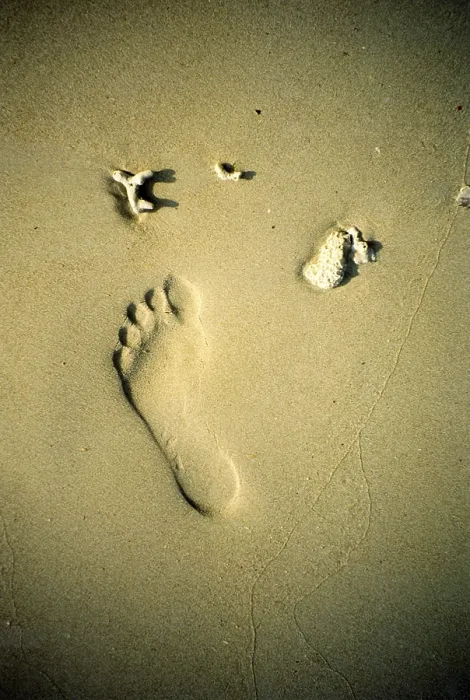 Gerahmter Druck : Fußabdruck auf dem Strand. Gerahmter Druck : Fußabdruck auf dem Strand.