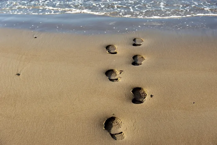 Gerahmter Druck : Fußspuren auf einer Strand, Deutschland. Gerahmter Druck : Fußspuren auf einer Strand, Deutschland.