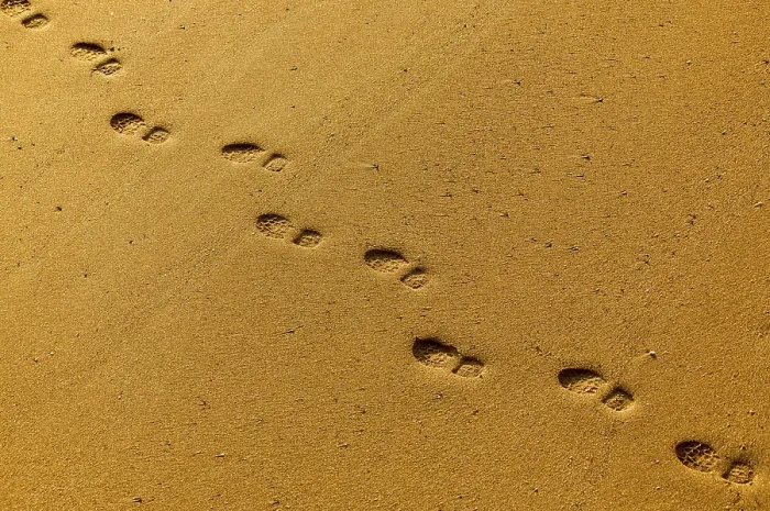 Gerahmter Druck : Fußspuren im Sand Gerahmter Druck : Fußspuren im Sand