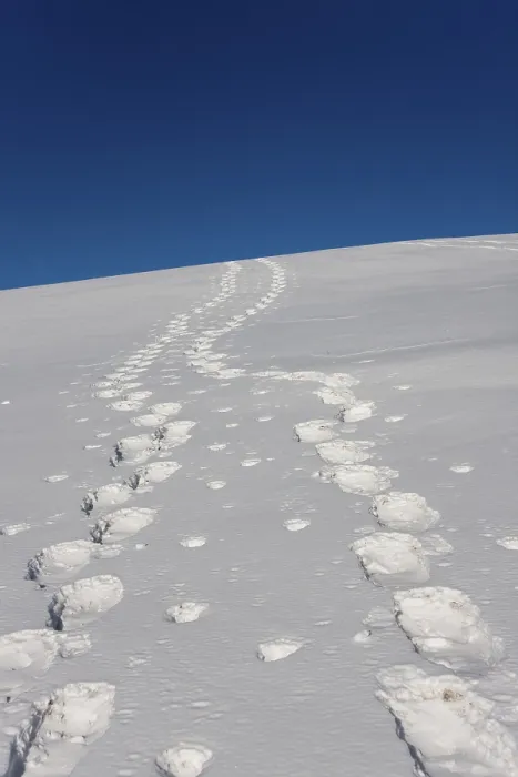 Gerahmter Druck : Fußspuren im Schnee. Gerahmter Druck : Fußspuren im Schnee.