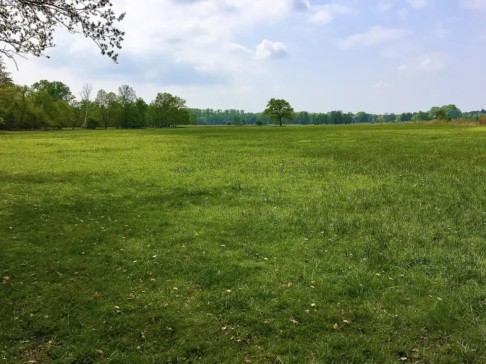 Gerahmter Druck : Frühlingliche Weide in Monchbruch, Morfelden-Walldorf, Hessen, Deutschland Gerahmter Druck : Frühlingliche Weide in Monchbruch, Morfelden-Walldorf, Hessen, Deutschland