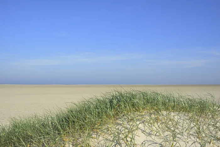 Gerahmter Druck : Dünenvorspülungen, Strand von St. Peter-Ording Gerahmter Druck : Dünenvorspülungen, Strand von St. Peter-Ording