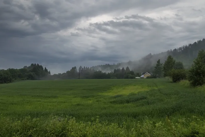 Gerahmter Druck : Waldrand und Feld, niedrige Wolken. Gerahmter Druck : Waldrand und Feld, niedrige Wolken.