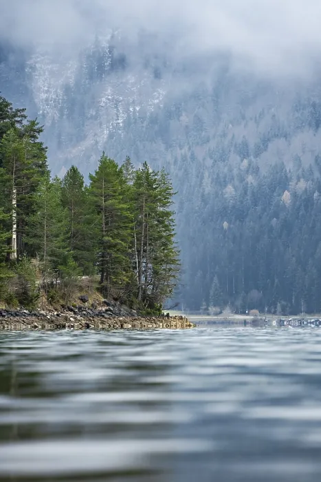 Gerahmter Druck : Waldrand am Wasser auf Steinen Gerahmter Druck : Waldrand am Wasser auf Steinen
