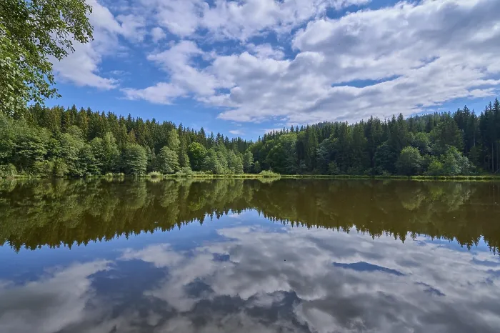 Gerahmter Druck : Waldsee, Reflexion, Himmel, Wolken. Gerahmter Druck : Waldsee, Reflexion, Himmel, Wolken.