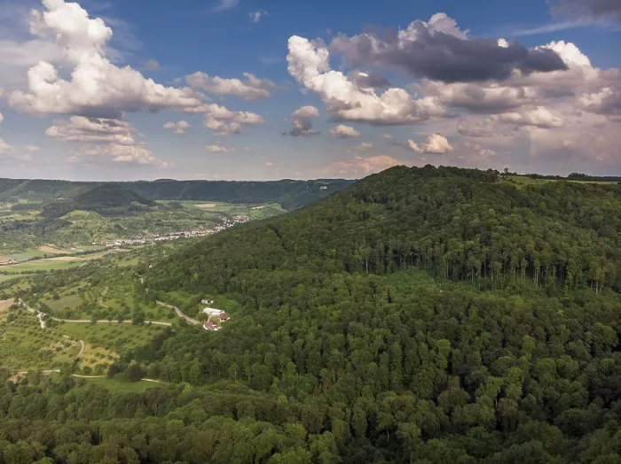 Gerahmter Druck : Waldlandschaft vom Himmel aus. Gerahmter Druck : Waldlandschaft vom Himmel aus.