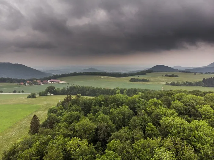 Gerahmter Druck : Waldbild von oben. Gerahmter Druck : Waldbild von oben.