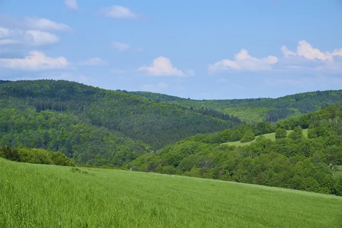 Gerahmter Druck : Waldlandschaft, Wiese, Wolken. Gerahmter Druck : Waldlandschaft, Wiese, Wolken.