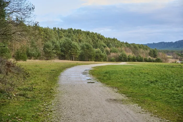 Gerahmter Druck : Waldweg am Rande des Waldes im Herbst. Gerahmter Druck : Waldweg am Rande des Waldes im Herbst.