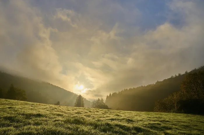 Gerahmter Druck : Wald, Tal, Wiese, Wolken Gerahmter Druck : Wald, Tal, Wiese, Wolken