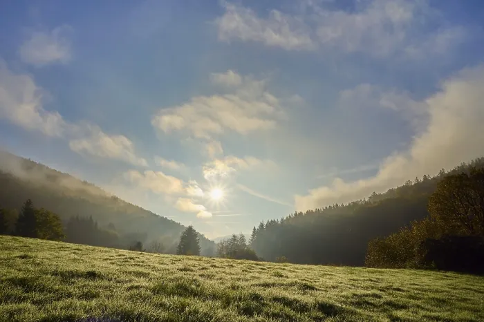 Gerahmter Druck : Wald, Tal, Wiese, Wolken Gerahmter Druck : Wald, Tal, Wiese, Wolken