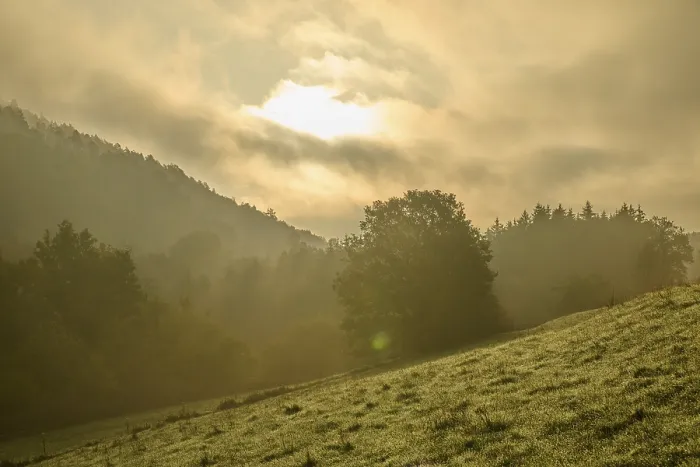 Gerahmter Druck : Wald, Tal, Wiese, Wolken. Gerahmter Druck : Wald, Tal, Wiese, Wolken.
