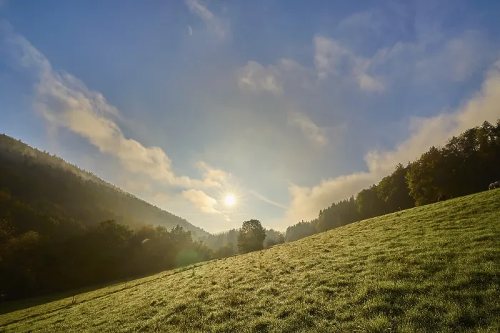 Gerahmter Druck : Wald, Tal, Wiese, Wolken. Gerahmter Druck : Wald, Tal, Wiese, Wolken.