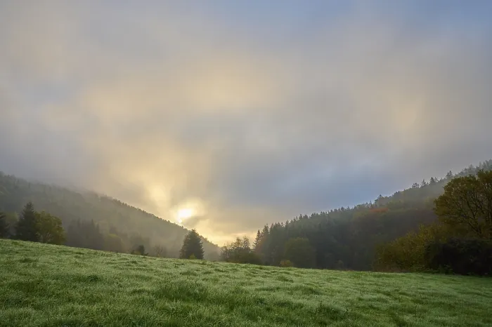 Gerahmter Druck : Wald, Tal, Wiese, Wolken Gerahmter Druck : Wald, Tal, Wiese, Wolken