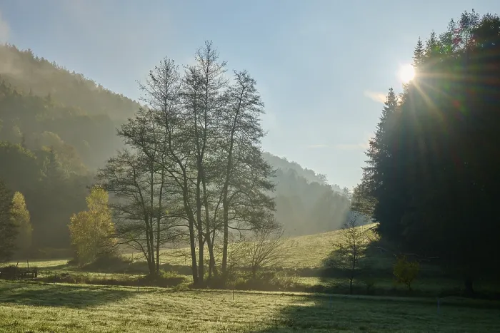 Gerahmter Druck : Wald, Tal, Wiese, Wolken