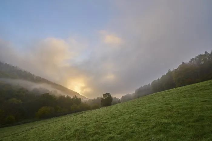 Gerahmter Druck : Wald, Tal, Wiese, Wolken. Gerahmter Druck : Wald, Tal, Wiese, Wolken.