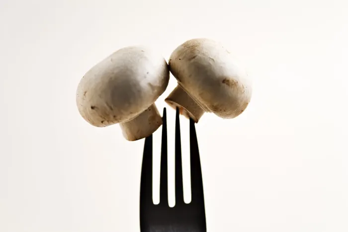 Gerahmter Druck : Fork hält zwei Knoblauchpilze Gerahmter Druck : Fork hält zwei Knoblauchpilze
