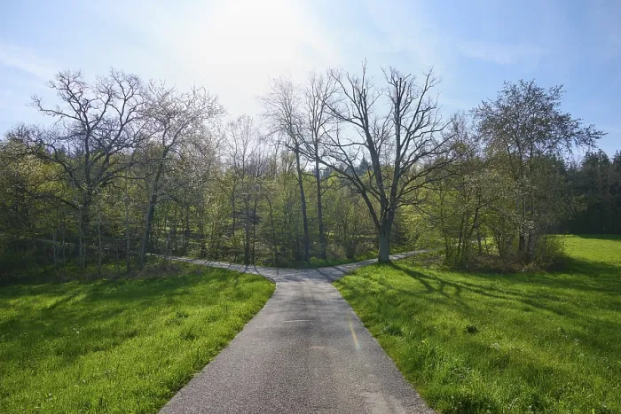 Gerahmter Druck : Gabel, Straße, Wiese, Wald, Sonne Gerahmter Druck : Gabel, Straße, Wiese, Wald, Sonne
