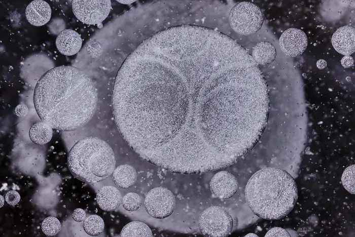 Gerahmter Druck : Formen des Eises in einem Pfützen, Eis Kristalle. Gerahmter Druck : Formen des Eises in einem Pfützen, Eis Kristalle.