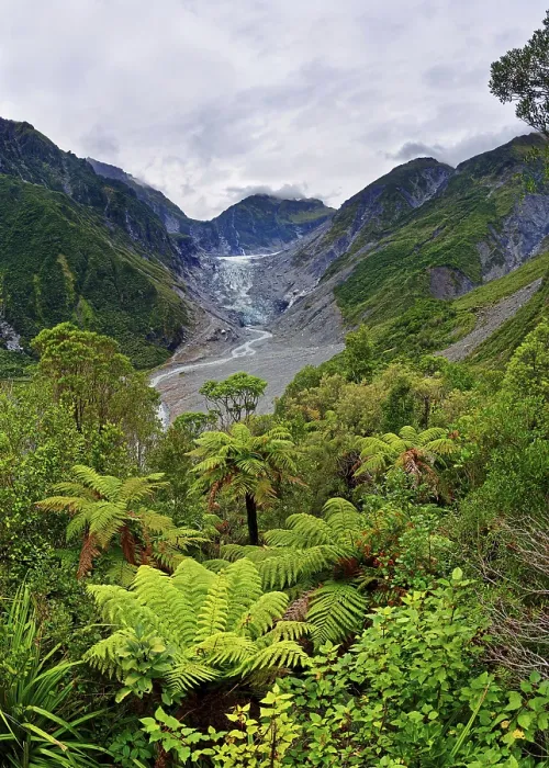 Gerahmter Druck : Fox-Gletscher und Fox River, tropische Vegetation. Gerahmter Druck : Fox-Gletscher und Fox River, tropische Vegetation.