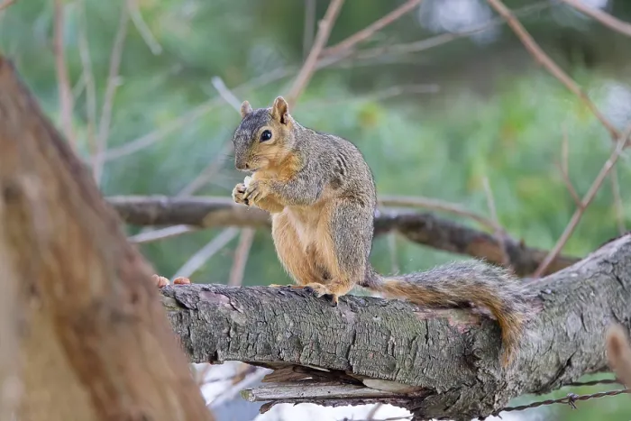 Gerahmter Druck : 