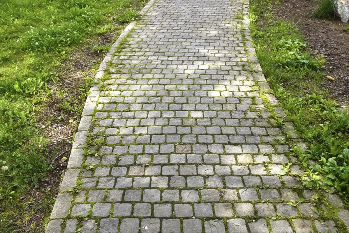 Gerahmter Druck : Ein Fragment eines Steigwegs unter dem Gras.