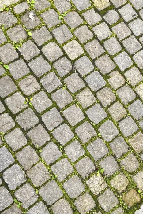 Gerahmter Druck : Gerahmter Druck :