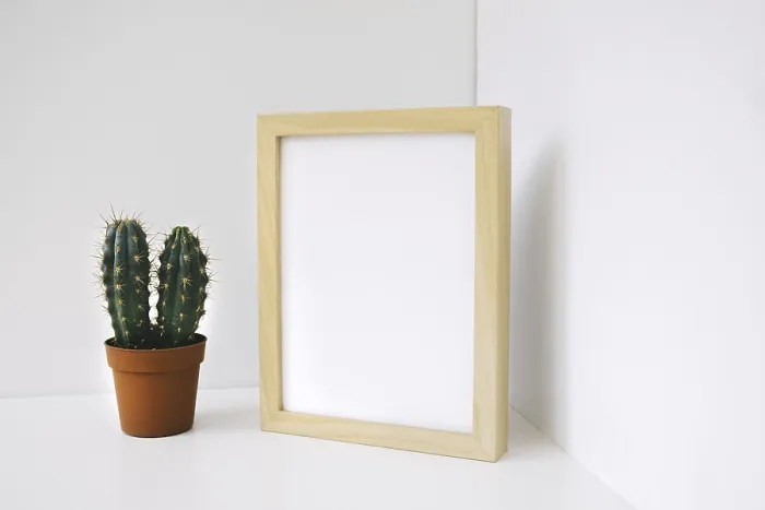 Gerahmter Druck : Kaktus-Ecke-Fenster Gerahmter Druck : Kaktus-Ecke-Fenster